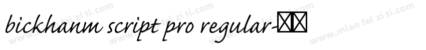 bickhanm script pro regular字体转换